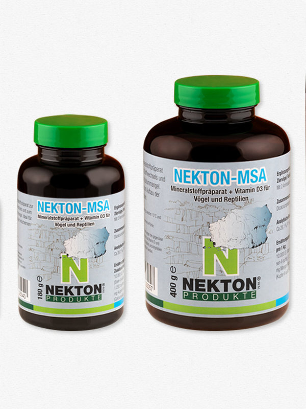 Nekton - MSA